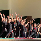 Gym Escolar / Madeira Gym For Life - AGIM