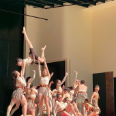 Gym Escolar / Madeira Gym For Life - AGIM