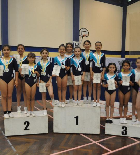 Campeonato Regional de Ginástica Infantil