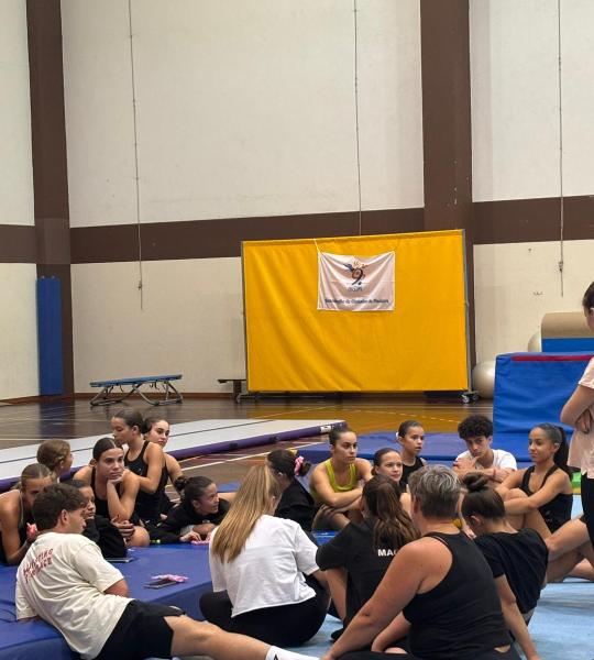 Abordagem Inicial das Técnicas de Base de Acrobática 4.0