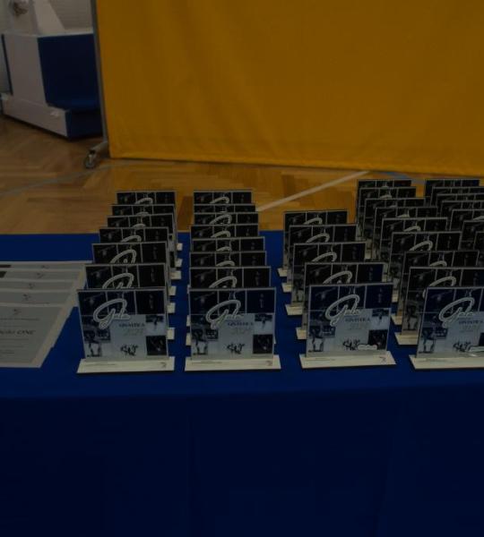 Gala de Ginástica 2024