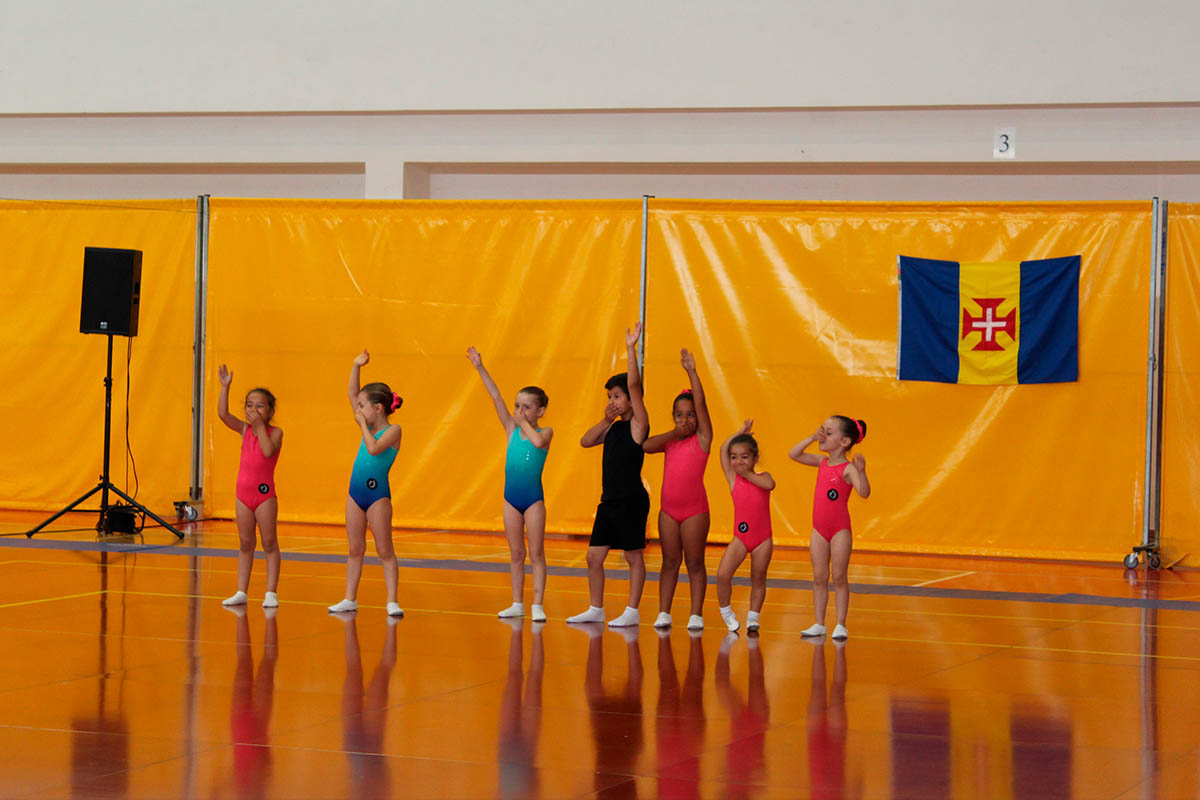 Ação de Formação: Abordagem Inicial à Ginástica Aeróbica - Coreografias